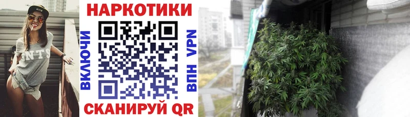 Где купить наркоту Лосино-Петровский Альфа ПВП  Меф  ГАШ  Каннабис  COCAIN 