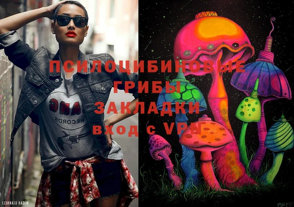 эйфоретик Ельня