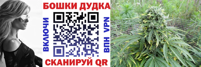 Конопля SATIVA & INDICA  Лосино-Петровский 